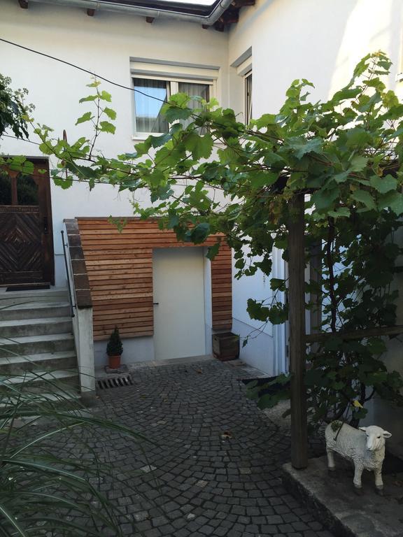 Pension Sunnseitn - Gasthof - Cafe - Weinkeller Haslach an der Muhl Ngoại thất bức ảnh